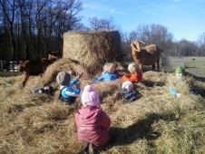 Ta zvířátka tu mají ale měkoučko